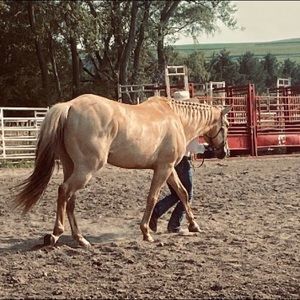 Meet your Posher, Kiara